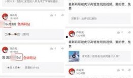 视频爆料规则最新,合规发布，守护网络空间清朗